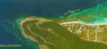 Mapa Satelital, Foto, Imagen Satelite, Foto, Imagen Satélite de la Isla Roatan, Islas de la Bahia, Honduras