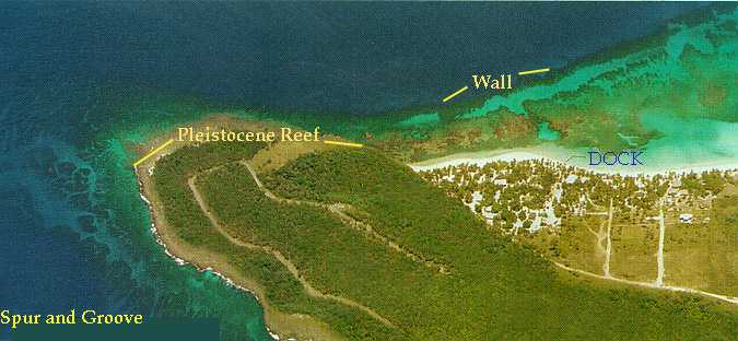 Satellite Image, Photo of Roatan Island, Bay Islands Department, Honduras