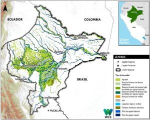 Mapa de los tipos de humedales en el departamento de Loreto.