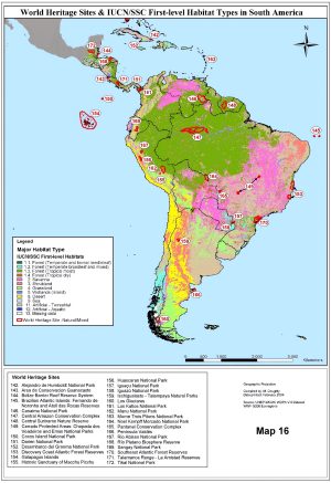 La vegetación en América del Sur