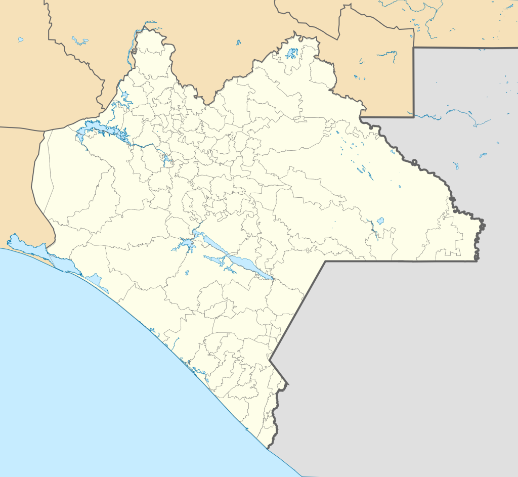 Mapa mudo de Chiapas.