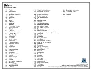 División municipal de Hidalgo.