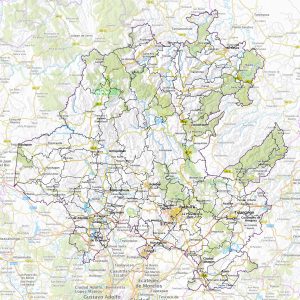 ¿Cuáles son las principales ciudades de Hidalgo?