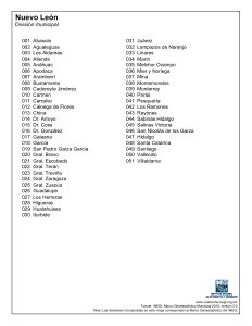 División municipal de Nuevo León.