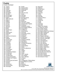 División municipal de Puebla parte 1.