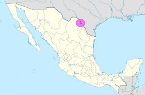 Mapa de ubicación de Piedras Negras en México.