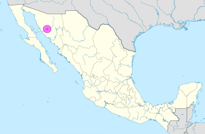 Mapa de ubicación de Hermosillo en México.
