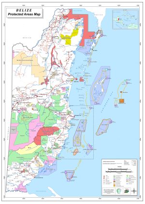 ¿Cuáles son las áreas protegidas en Belice?