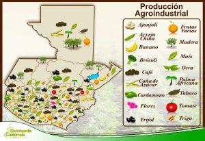 Producción agroindustrial en Guatemala