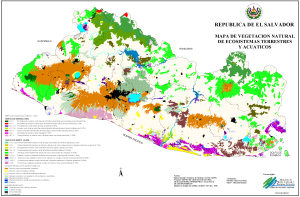 Mapa de la vegetación natural, ecosistemas terrestres y acuáticos de El Salvador.
