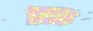 Mapa mudo coloreado de Puerto Rico.