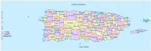 ¿Cuáles son los municipios de Puerto Rico?