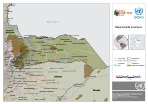 Mapa de relieve de Arauca.