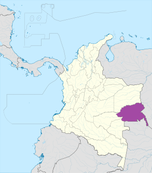 ¿Dónde se encuentra el departamento de Guainía?