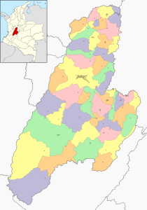 Mapa mudo coloreado del departamento del Tolima.