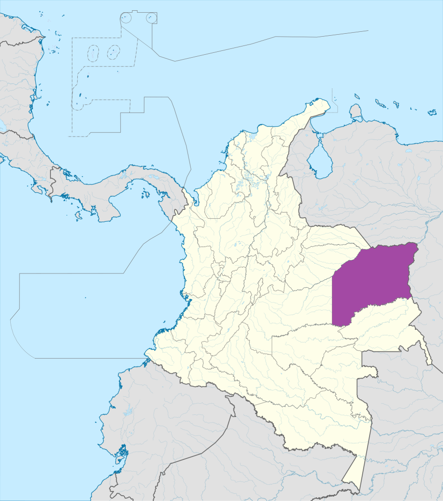 Mapa de ubicación del departamento del Vichada en Colombia.