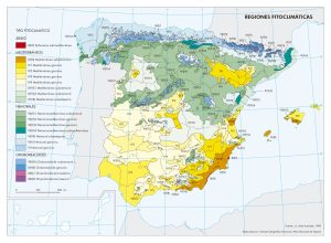 Mapa de las regiones fitoclimáticas de España 1990.