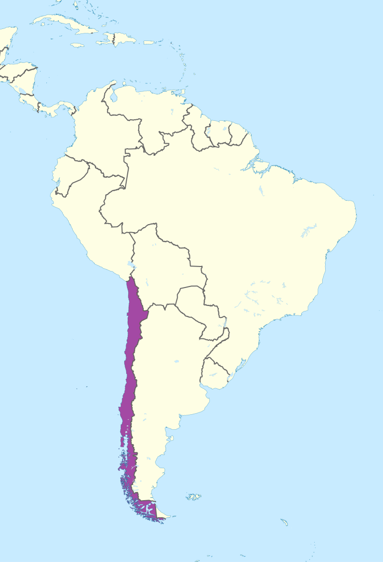 ¿Dónde se encuentra Chile? - Galería de mapas