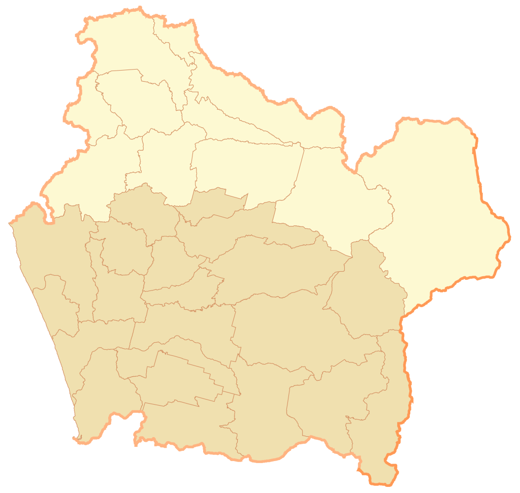 Mapa mudo de la región de La Araucanía.