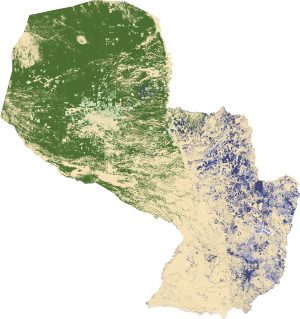 Cambios en la cubierta forestal en Paraguay 1990-2000