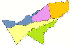 Mapa mudo coloreado del departamento de Pando.