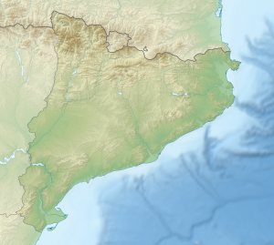 Mapa físico en blanco de Cataluña.