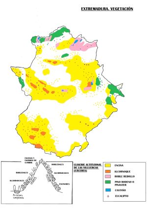 Mapa de vegetación de Extremadura