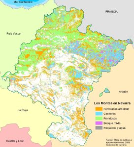 Mapa forestal de Navarra.