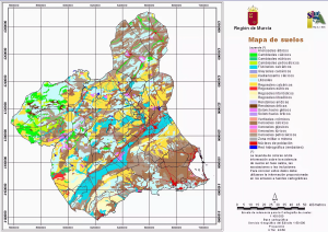 Mapa de suelos de la Región de Murcia.