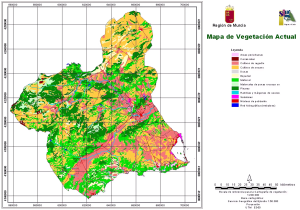 Mapa de vegetación de la Región de Murcia.