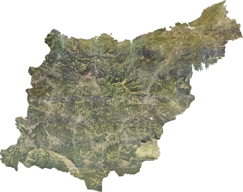 Ortoimagen de la provincia de Guipúzcoa.