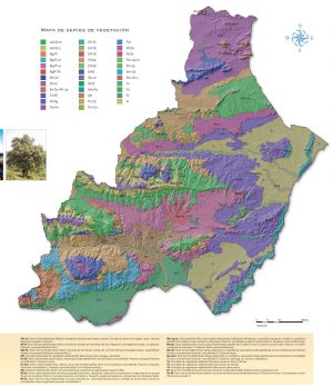 Vegetación de la provincia de Almería