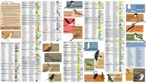 Aves de la provincia de Málaga.