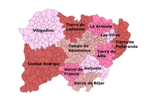 Mapa de las comarcas de la provincia de Salamanca