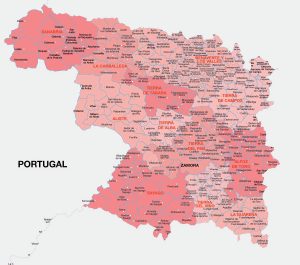 Mapa de las principales ciudades de la provincia de Zamora.