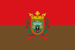 Bandera de la ciudad de Burgos
