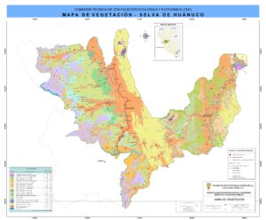 Mapa de vegetación del departamento de Huánuco.