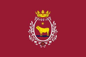 Bandera de la ciudad de Teruel