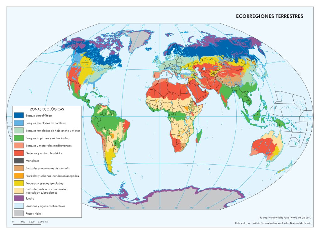 Mapa de ecorregiones terrestres en el mundo.
