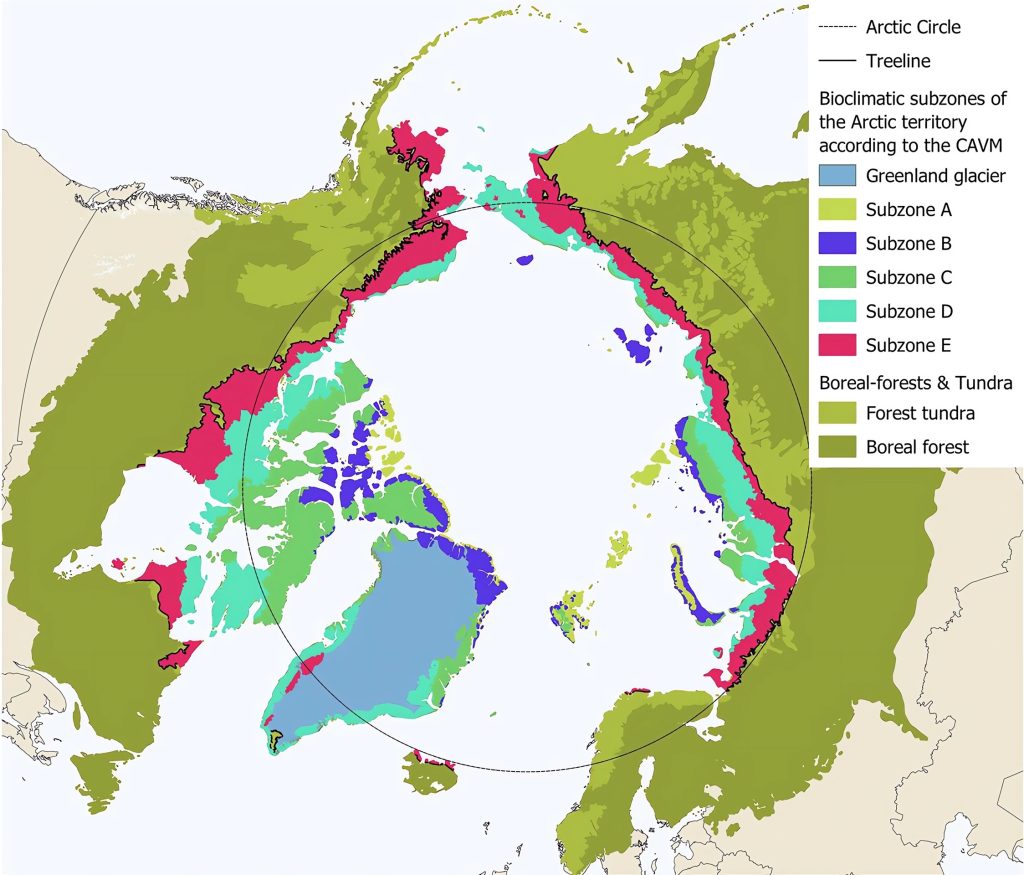 Mapa de las subzonas bioclimáticas de la región ártica.